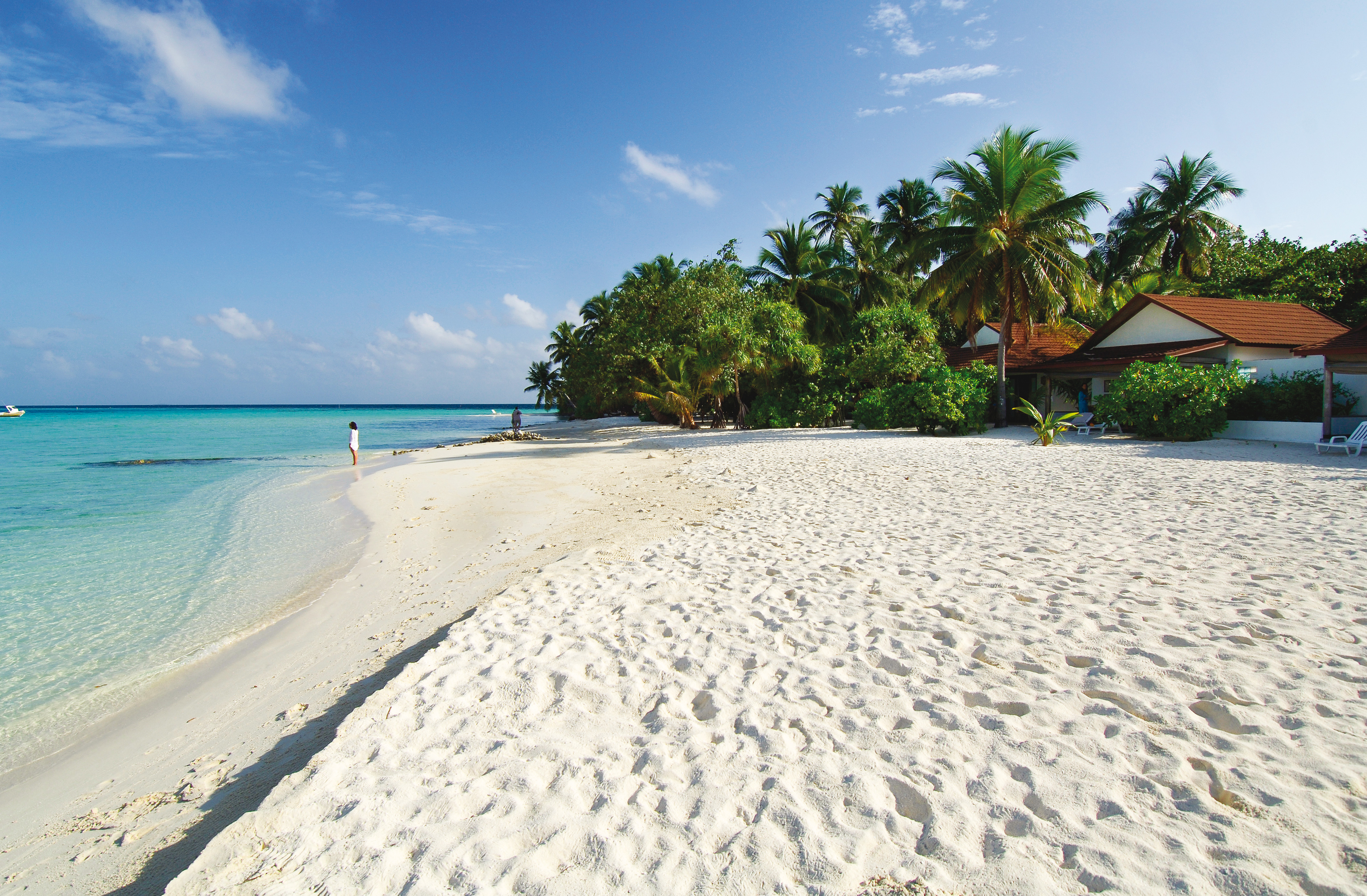 Island beach 2. Мальдивы Санд Айленд 5. Diamonds Athuruga 5. Diamonds Athuruga Maldives 5. Остров Кокоа, Мальдивы.