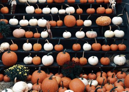 Halloween in Valence: Activities, events and original ideas to get a thrill in the Drôme