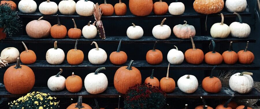 Halloween in Valence: Activities, events and original ideas to get a thrill in the Drôme