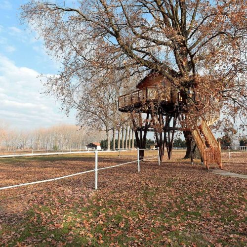 it::Casa sull Albero | en::Tree House | fr::Cabane dans arbre | de::Baumhaus