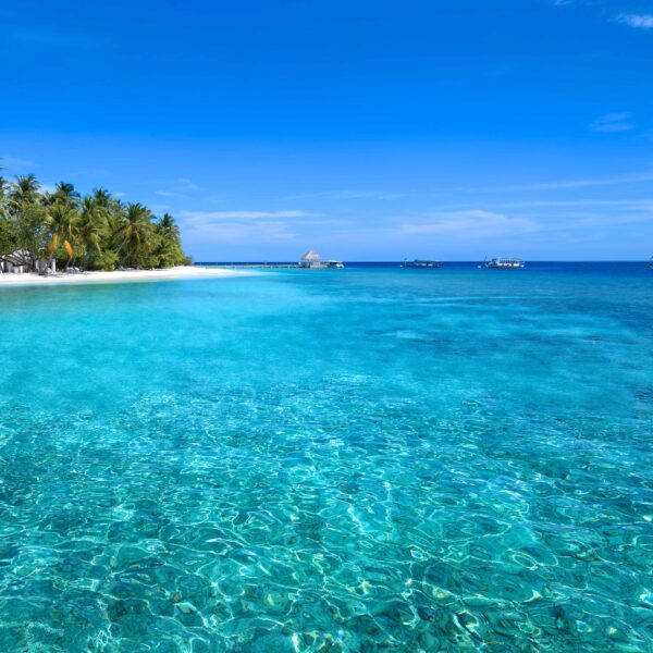 Sandies Bathala Maldives 2025 VKP002