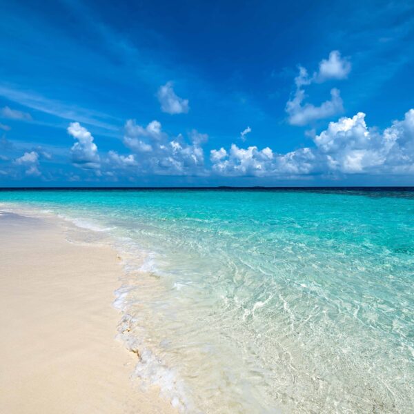 Sandies Bathala Maldives 2025 VKP074