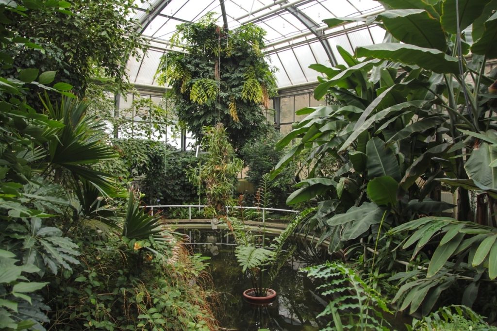 Botanická zahrada Přírodovědecké fakulty Univerzity Karlovy