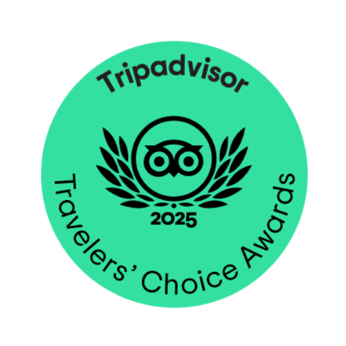 tripadvisor widget