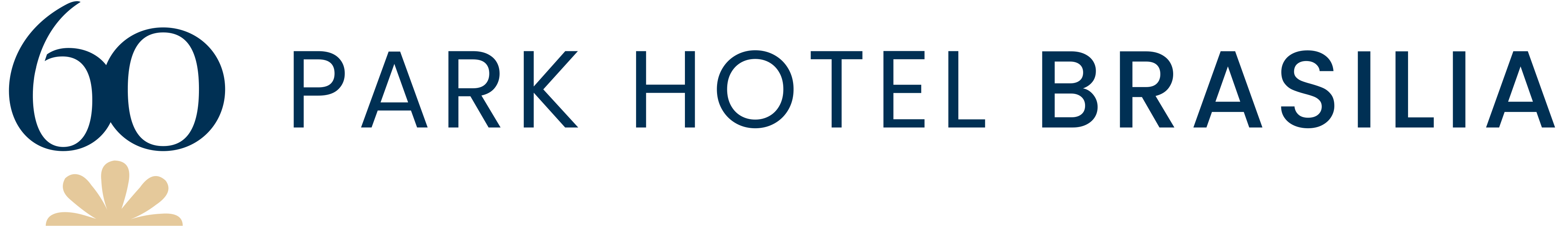 Park Hotel Brasilia - logo