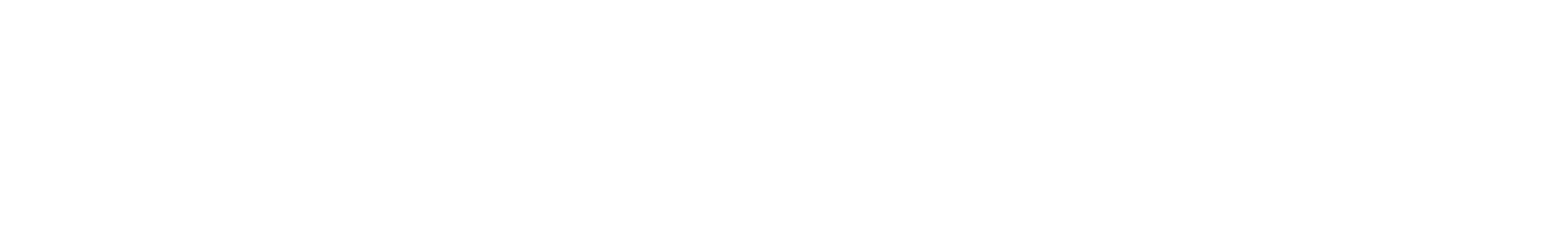 Park Hotel Brasilia - logo white