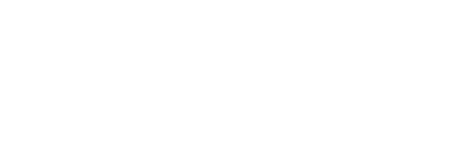 Park Hotel Brasilia - logo white