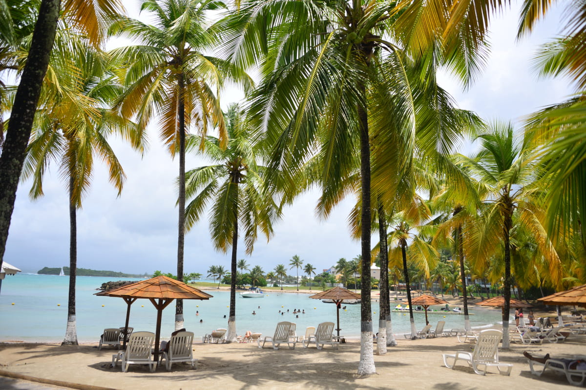 Restaurants & Bars Formule All Inclusive Hotel Le Gosier (Guadeloupe) Hôtel Fleur d’Epée