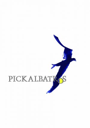    Albatros Citadel Sahl Hasheesh    Pickalbatros Hotels Resort Egypt